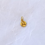 Mini Plain Zodiac Sign Charm